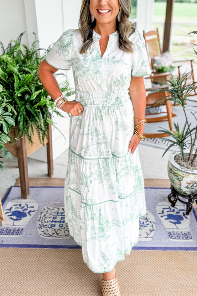 Landscape Toile Flare Maxi Dress
